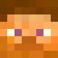 KaczorDonald137 - head
