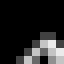 misio_panda9 - head